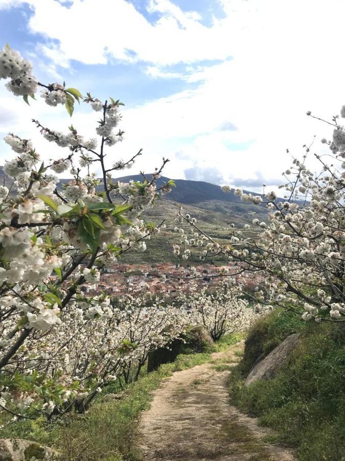 Casa Rural La Picotina 纳瓦孔塞霍 外观 照片