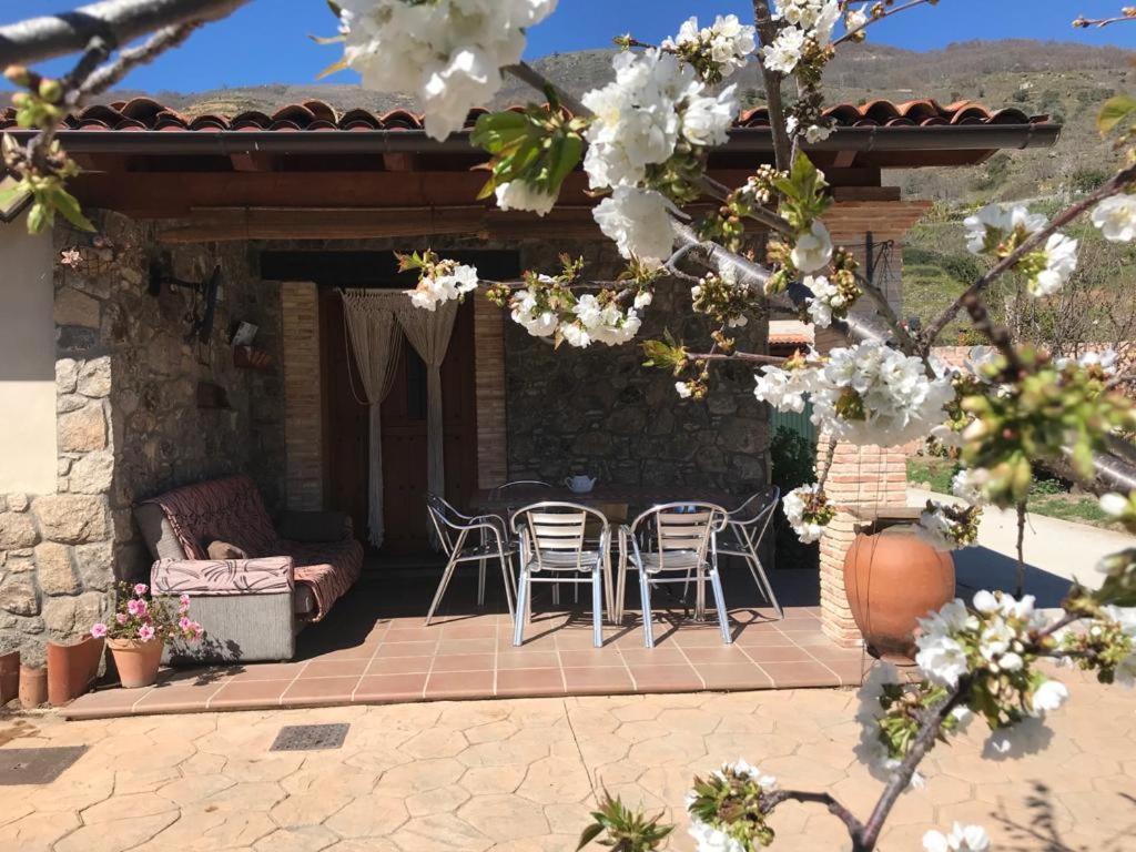 Casa Rural La Picotina 纳瓦孔塞霍 外观 照片