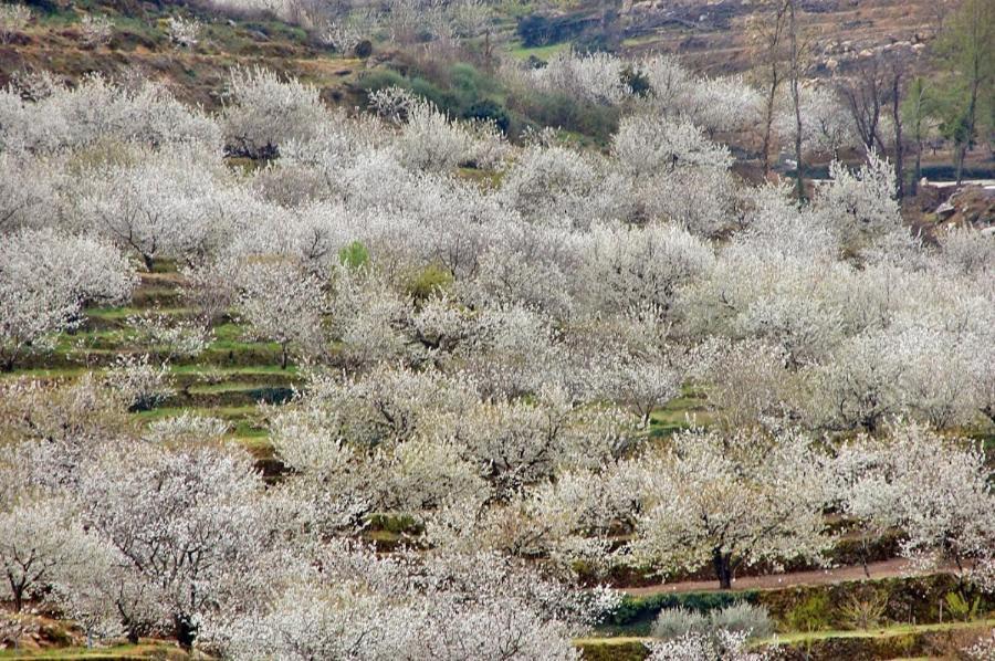 Casa Rural La Picotina 纳瓦孔塞霍 外观 照片